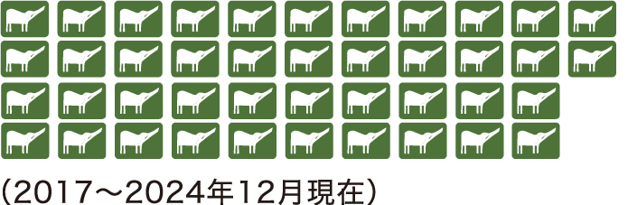 42枚（2017〜2024年12月現在）